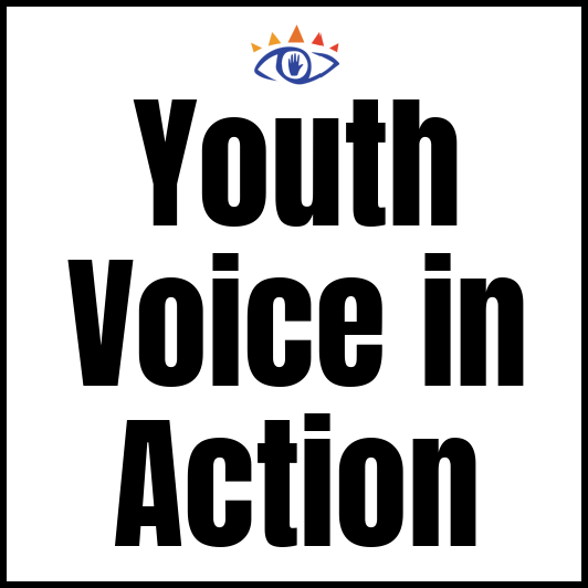 Youth Voice in Action by the Freechild Institute
